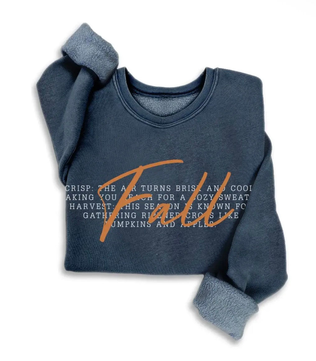 Navy fall sweatshirt