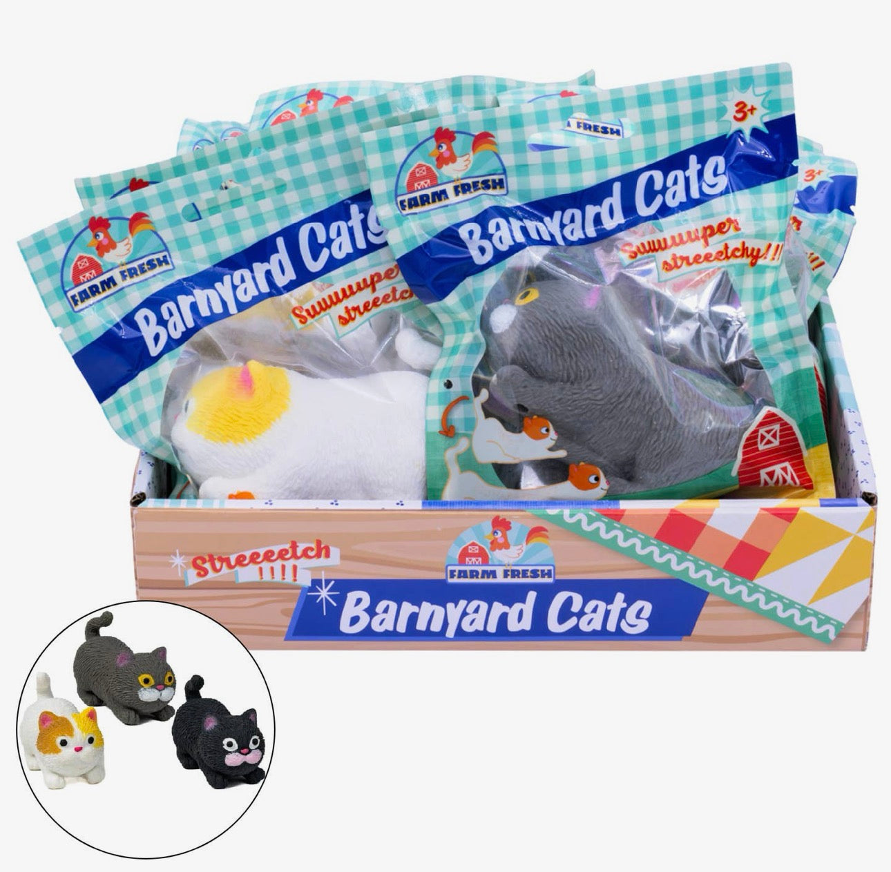 Barnard cat squishy