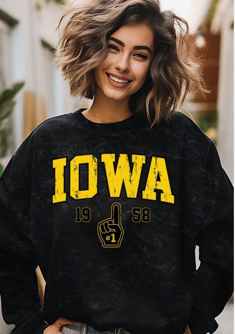 Iowa mineral graphic sweatshirt